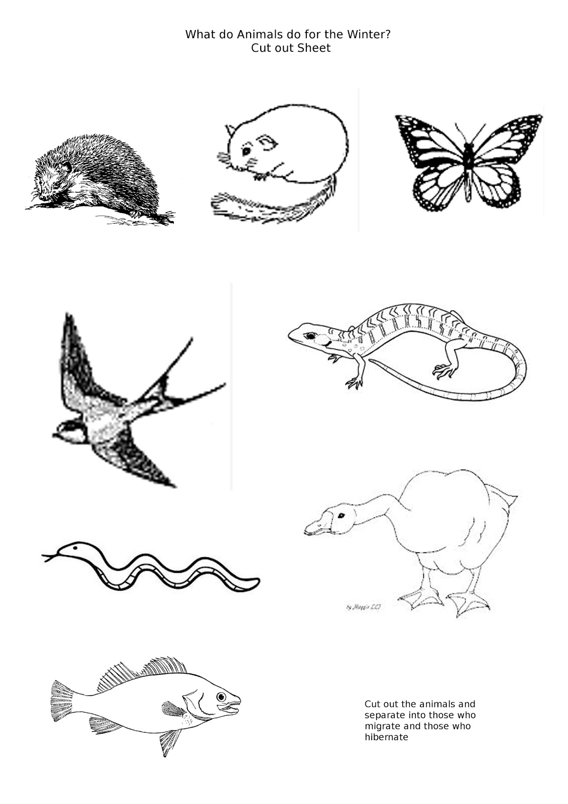 Animal Migration Coloring Pages Sketch Coloring Page